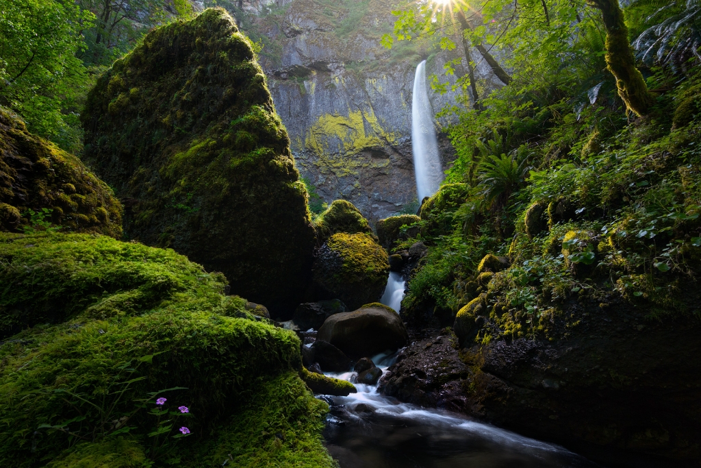 A fine art nature photograph of Elowah's Falls in a waterfall rainforest scene by Bryce Mironuck