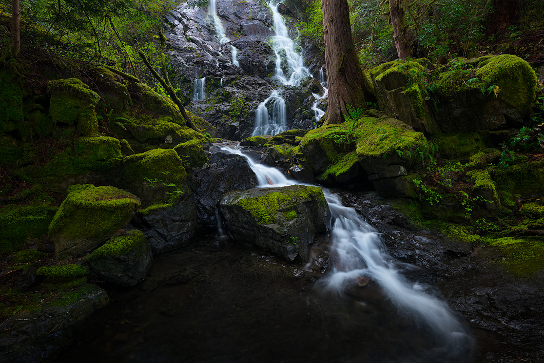 A fine art nature photograph taken of a waterfall in a rainforest on Vancouver Island by Bryce Mironuck