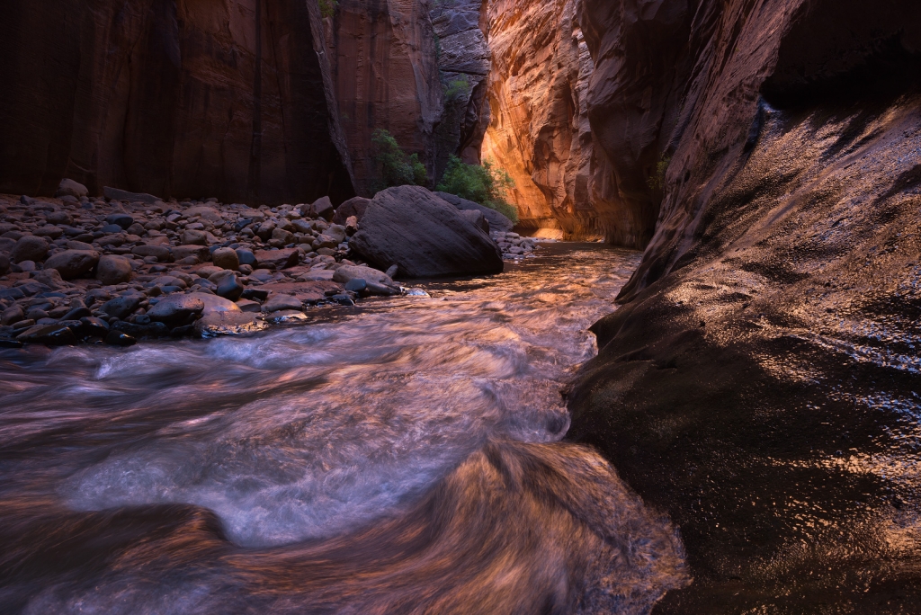 A fine art nature photograph taken in the narrows of Zion National Park, Utah by Bryce Mironuck