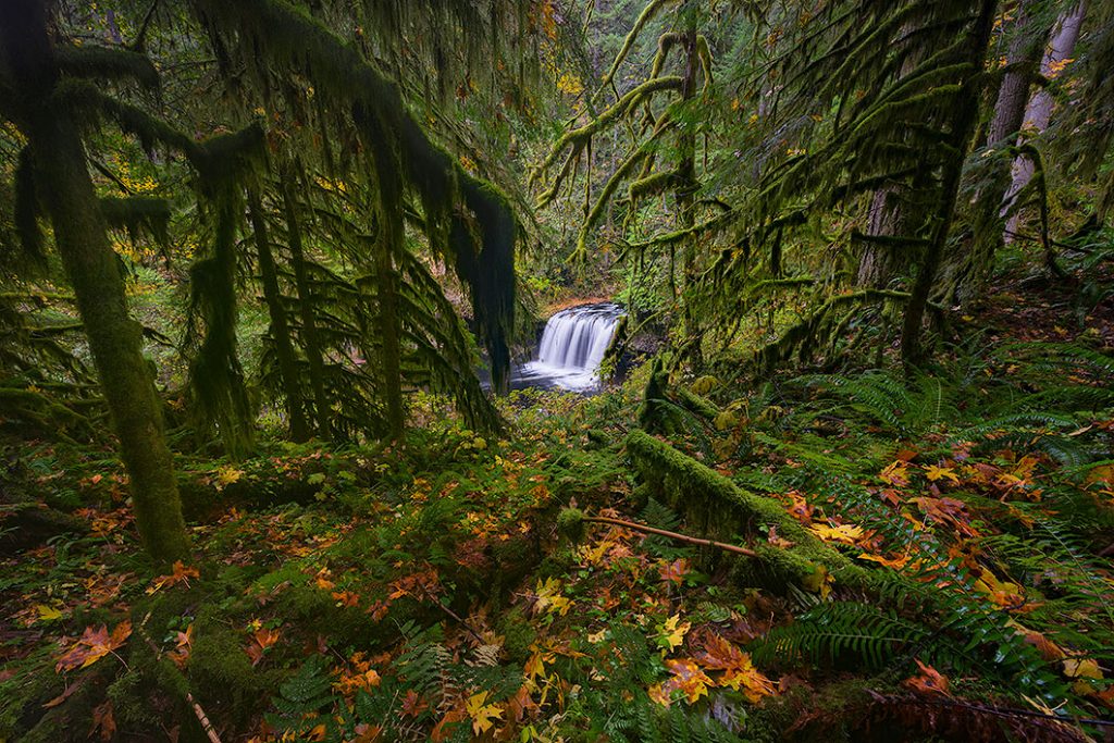 A fine art photograph of Upper Butte Creek Falls in Oregon. A nature photography print by Bryce Mironuck
