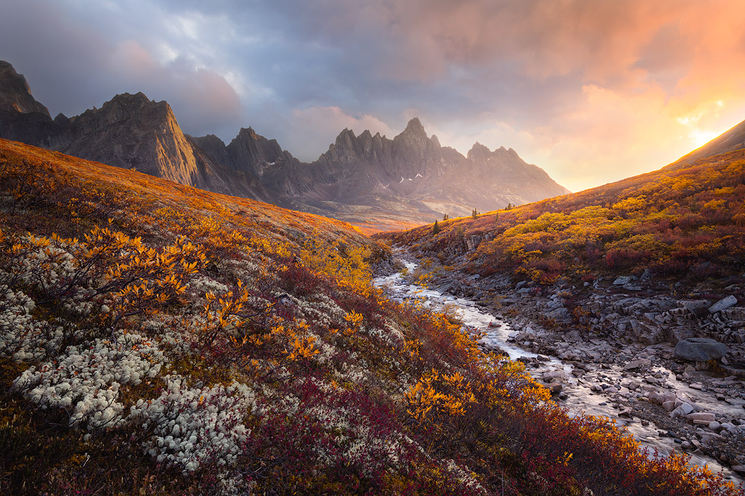 A fine art nature photograph taken at sunset in Tombstone Territorial Park in the Yukon. Pictured is a river leading to the mountains at Talus Lake.