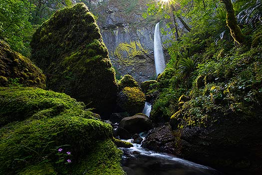 A nature photography print of Elowah's Falls located in Oregon. A similar alternative to a Peter Lik image
