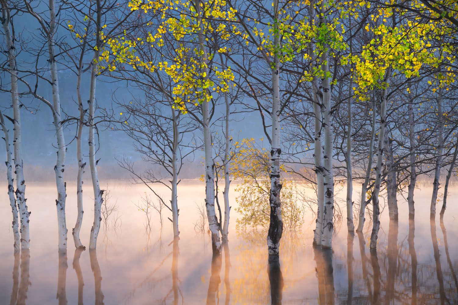 "Smoke on the Water" a photography print by Bryce Mironuck