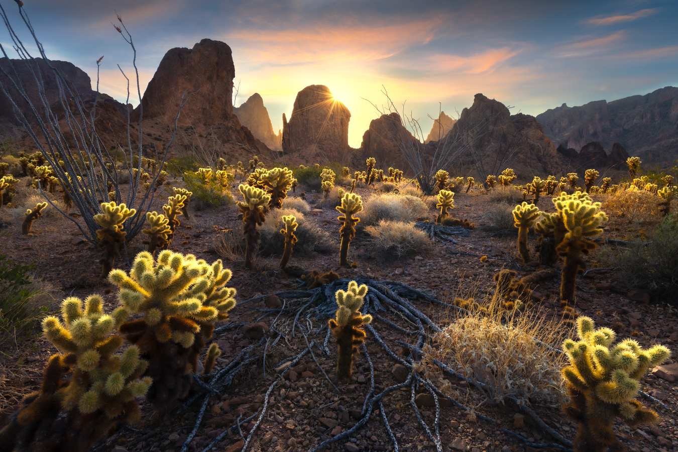 Morning Sunburst – Kofa Mountains